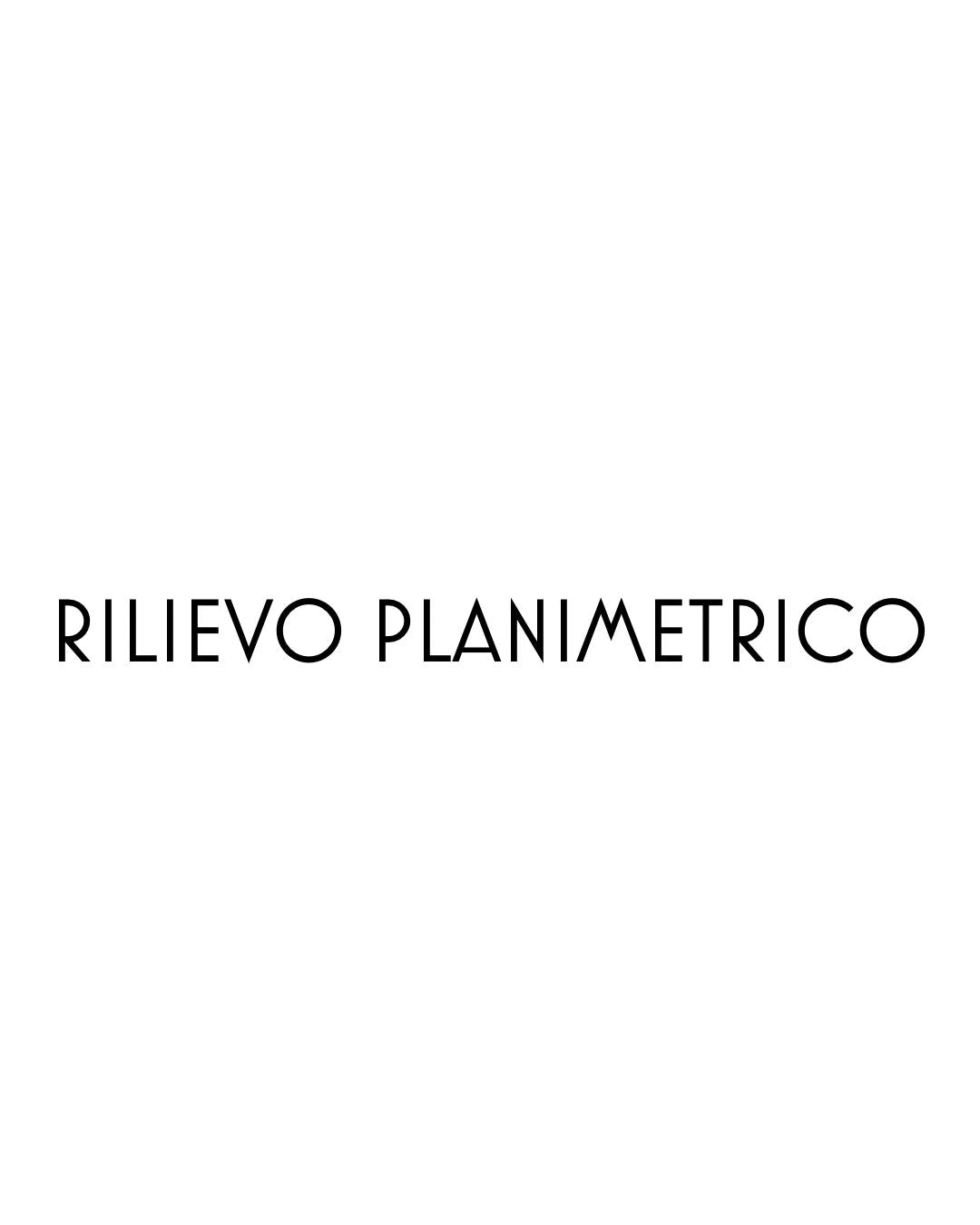 RILIEVO PLANIMETRICO